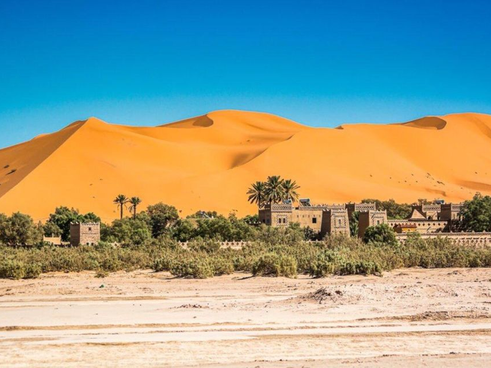 OASIS